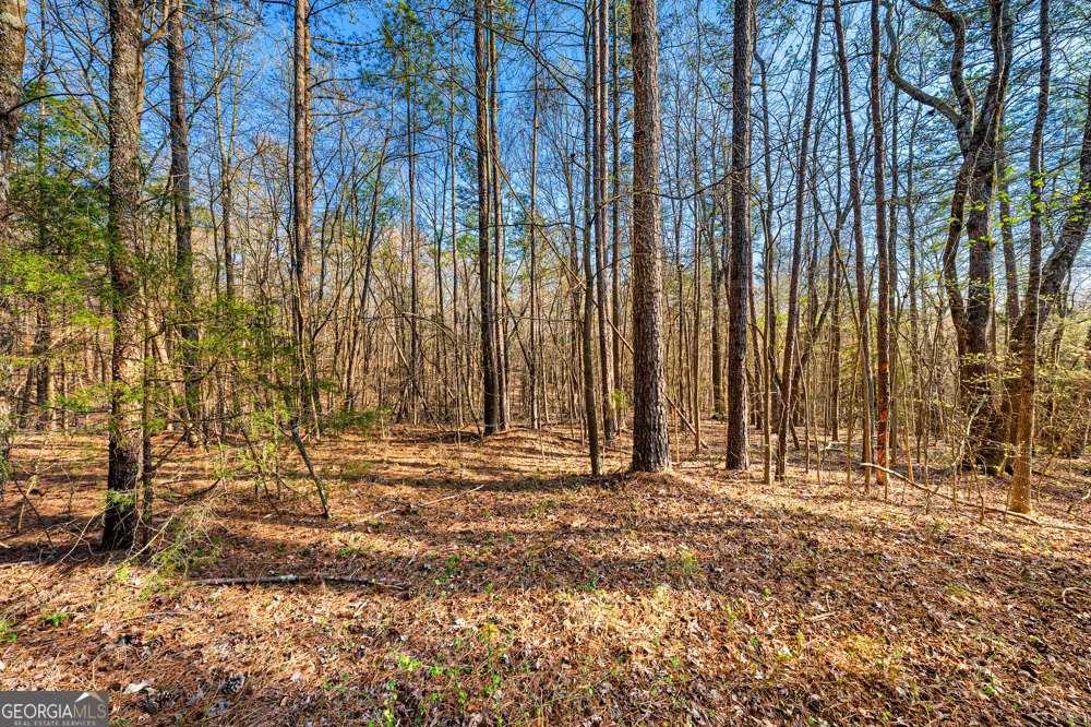 0 Sunflower DR Hartwell, GA 30643
