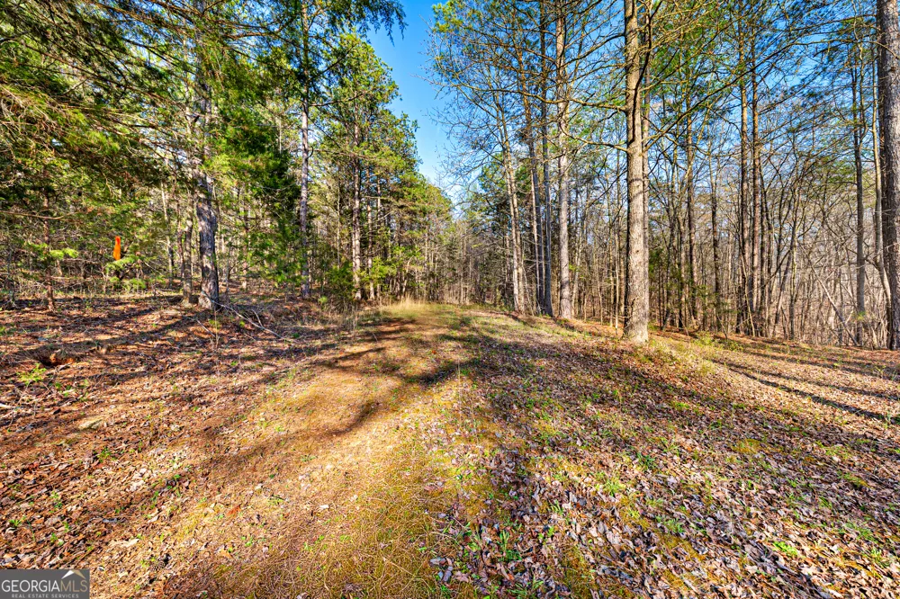 0 Sunflower DR Hartwell, GA 30643