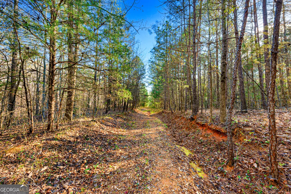 0 Sunflower DR Hartwell, GA 30643