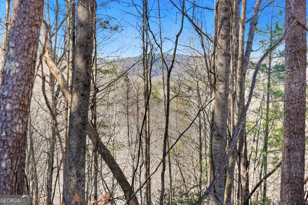 0 Mill Run Sautee Nacoochee, GA 30571