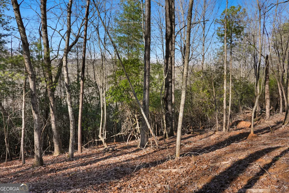 0 Mill Run Sautee Nacoochee, GA 30571