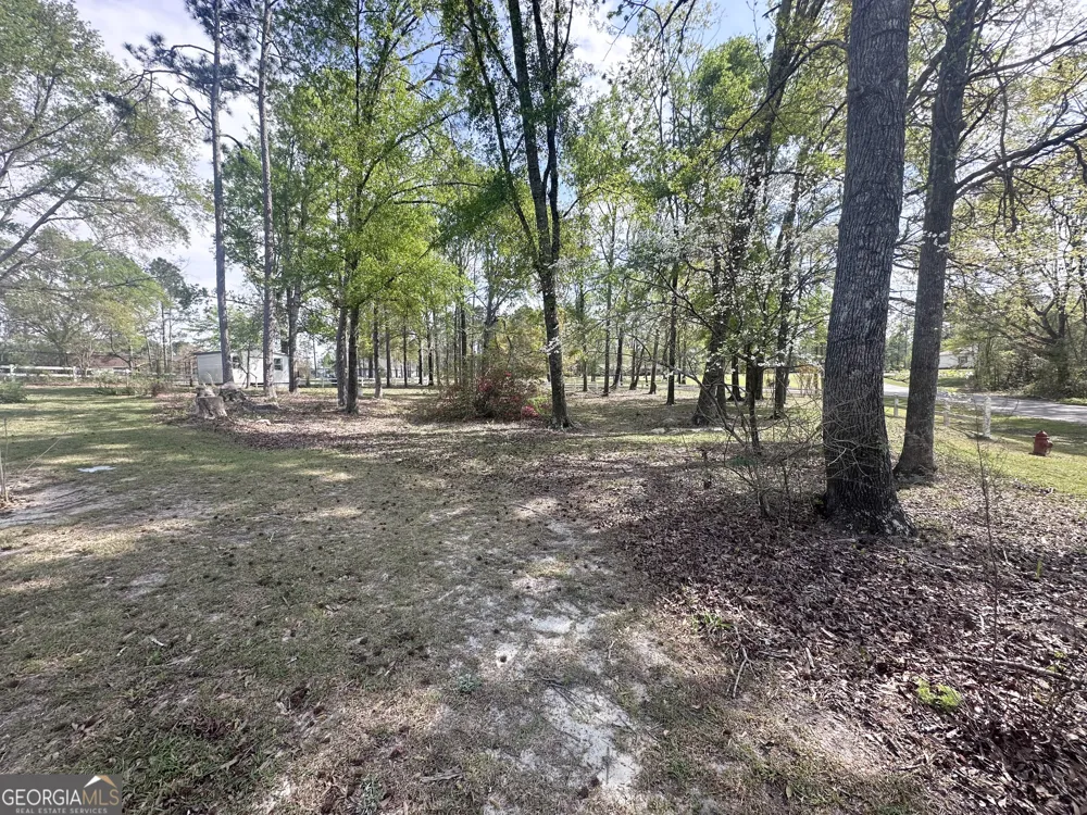 1869 Florida AVE Soperton, GA 30457