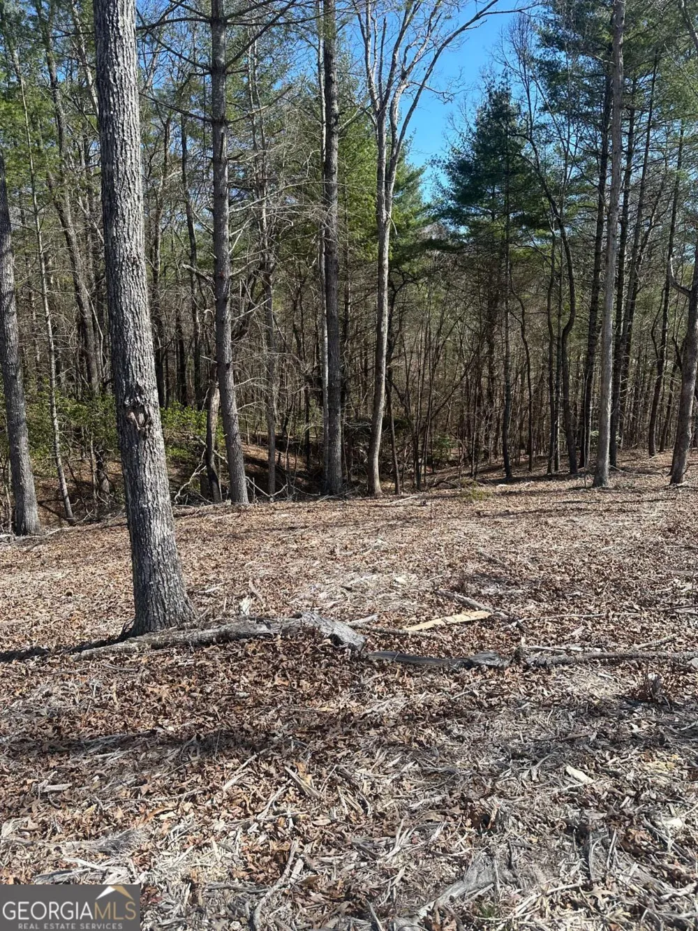 LOT 188 The Ridges Morganton, GA 30560