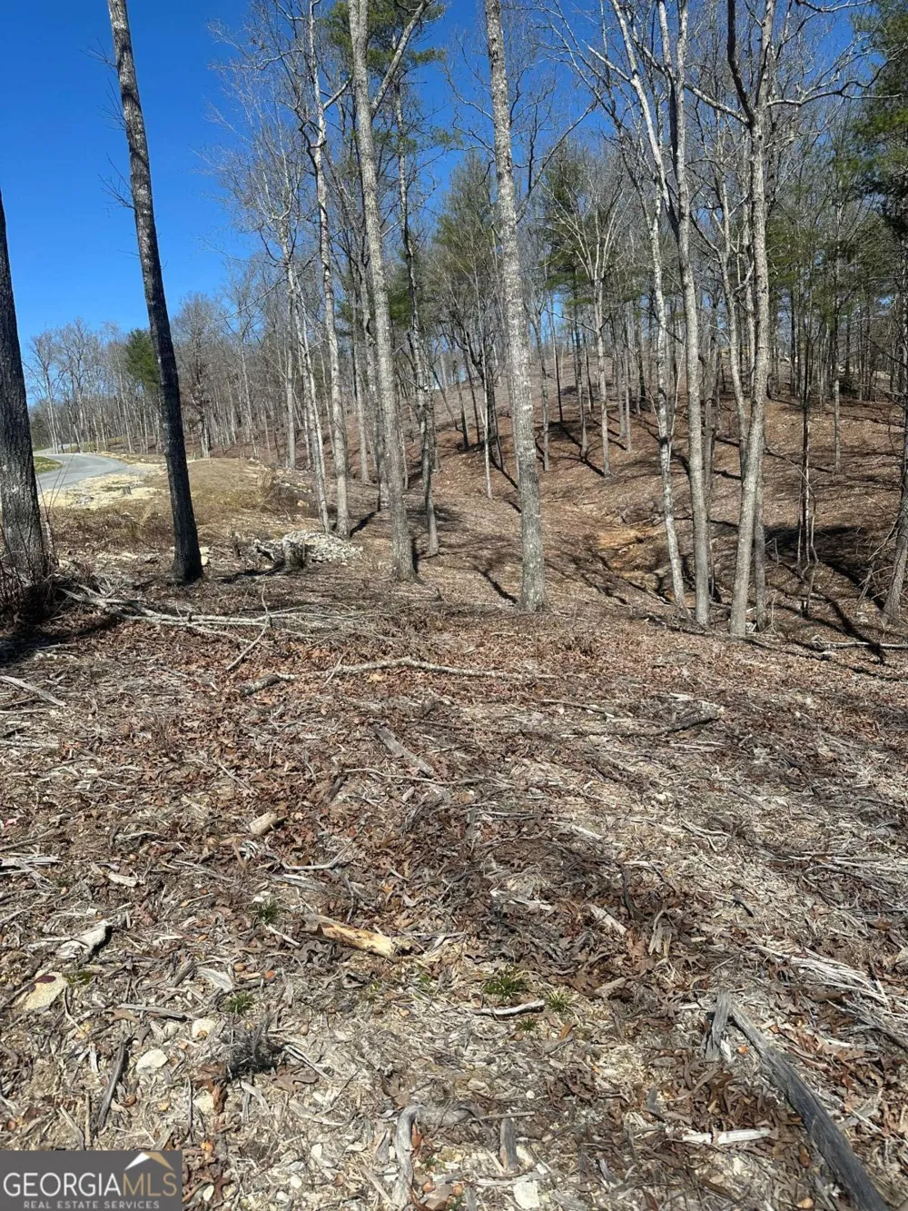 LOT 188 The Ridges Morganton, GA 30560
