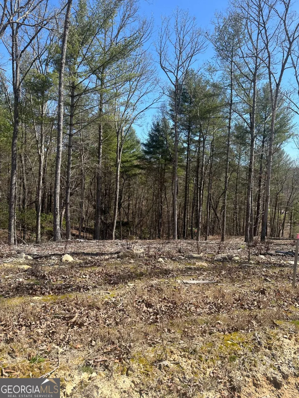 LOT 188 The Ridges Morganton, GA 30560