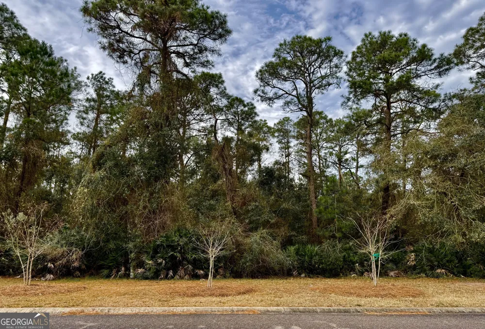 306 Clubhouse CIR St. Marys, GA 31558