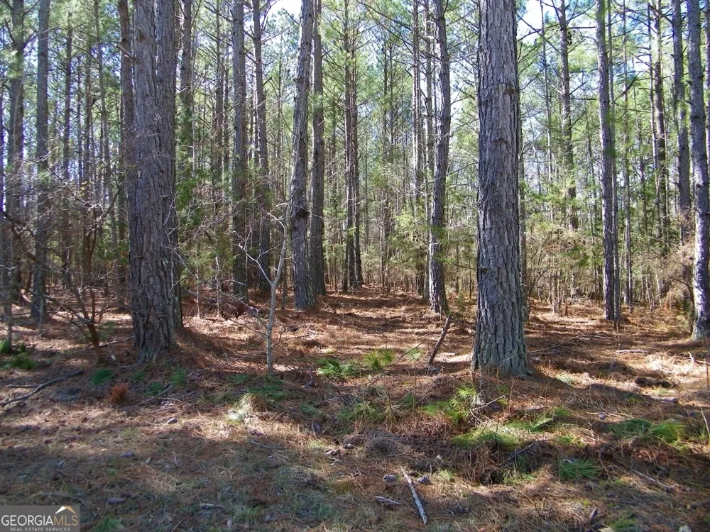 LOT 7 Blackberry Bend Elberton, GA 30635