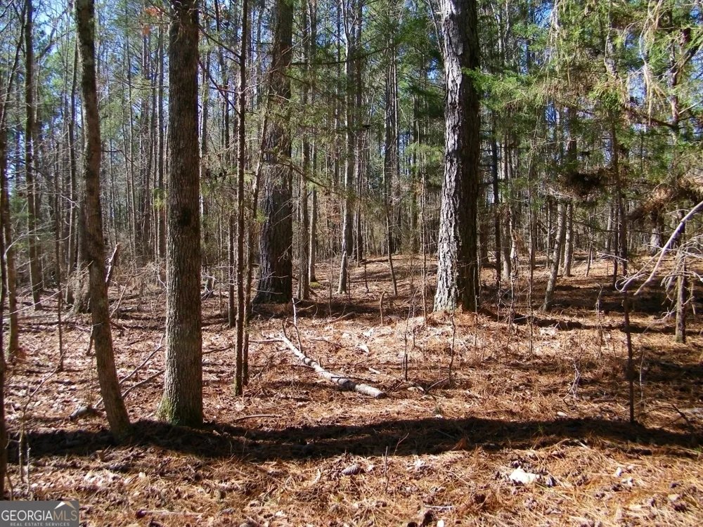 LOT 7 Blackberry Bend Elberton, GA 30635