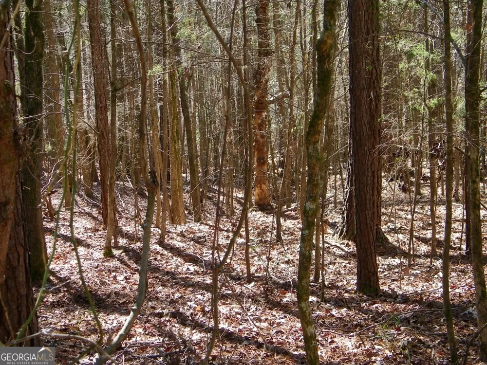 LOT 7 Blackberry Bend Elberton, GA 30635