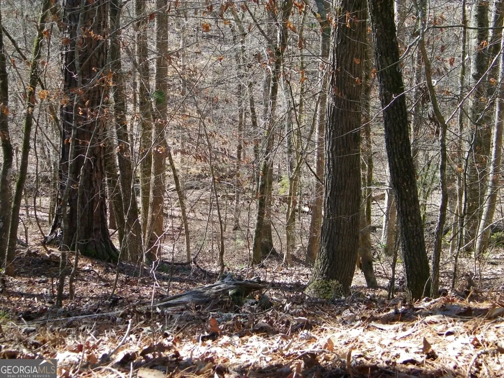 LOT 7 Blackberry Bend Elberton, GA 30635