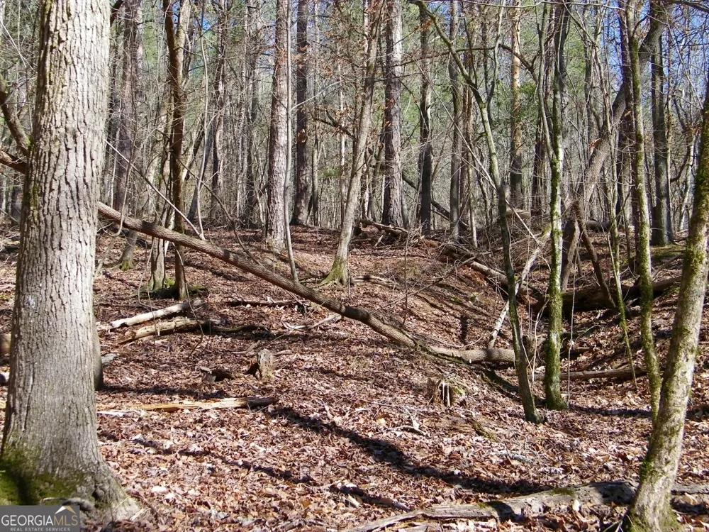 LOT 7 Blackberry Bend Elberton, GA 30635