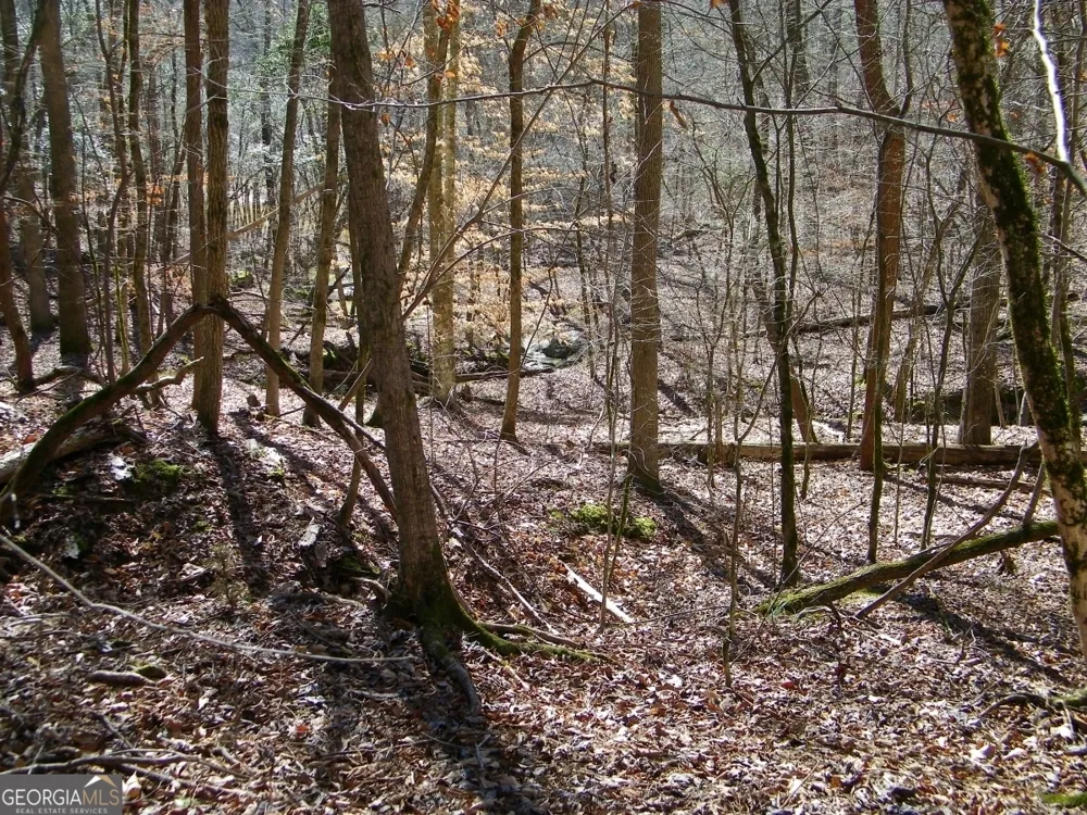 LOT 7 Blackberry Bend Elberton, GA 30635