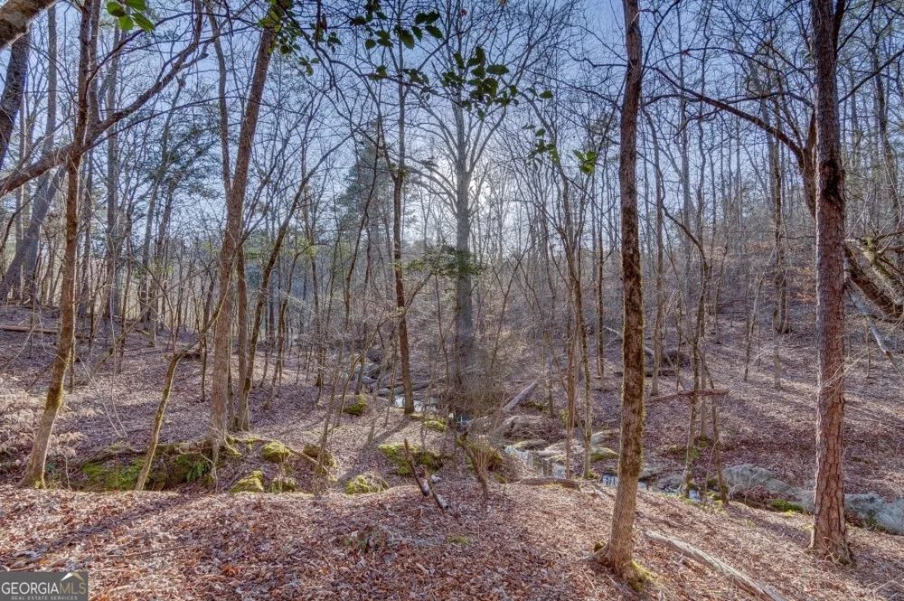 LOT 7 Blackberry Bend Elberton, GA 30635