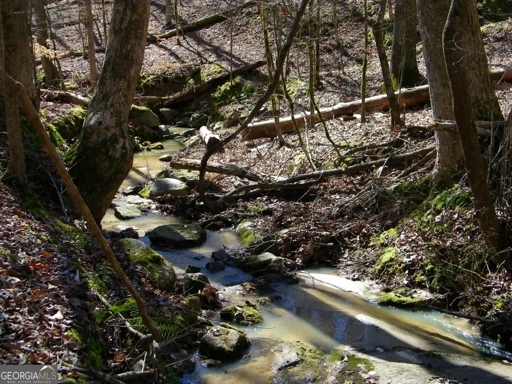 LOT 7 Blackberry Bend Elberton, GA 30635