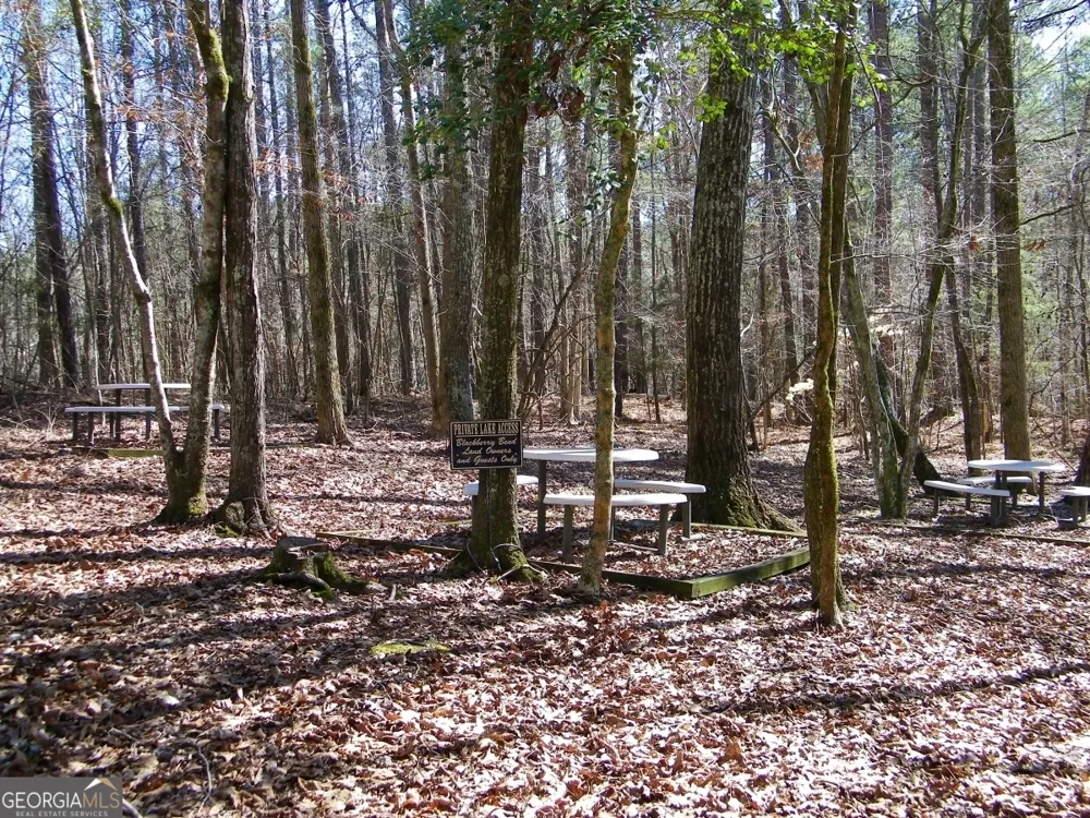 LOT 7 Blackberry Bend Elberton, GA 30635