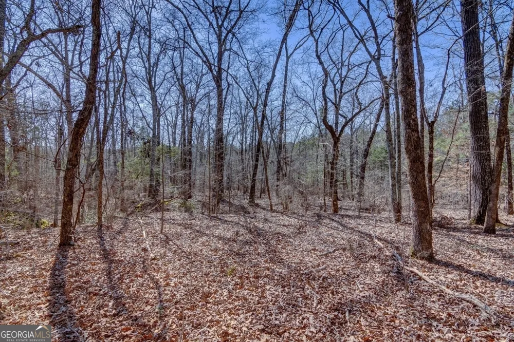 LOT 28 Benjamin Brown CT Elberton, GA 30635