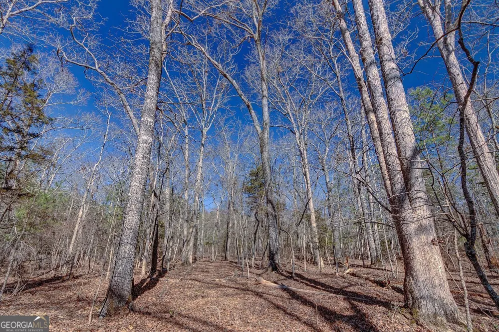 LOT 28 Benjamin Brown CT Elberton, GA 30635
