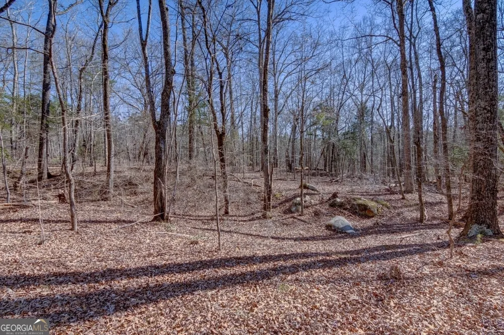 LOT 28 Benjamin Brown CT Elberton, GA 30635