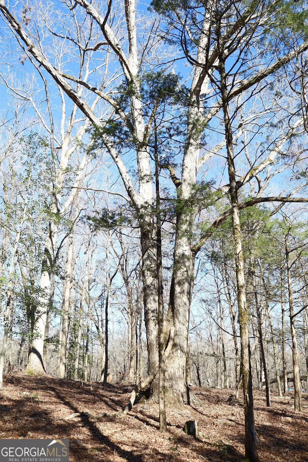 LOT 28 Benjamin Brown CT Elberton, GA 30635