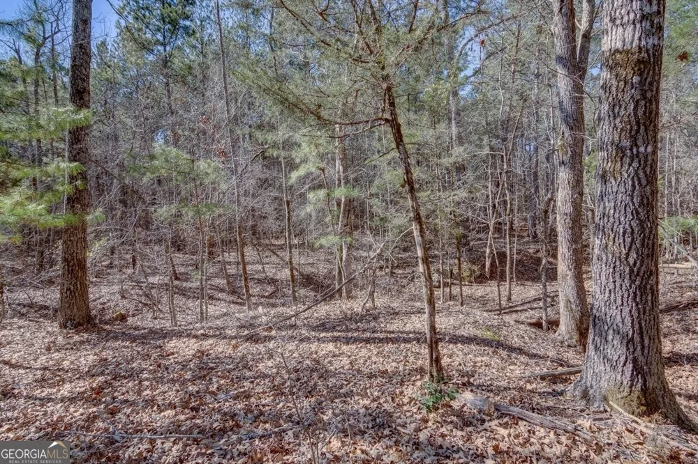 LOT 28 Benjamin Brown CT Elberton, GA 30635