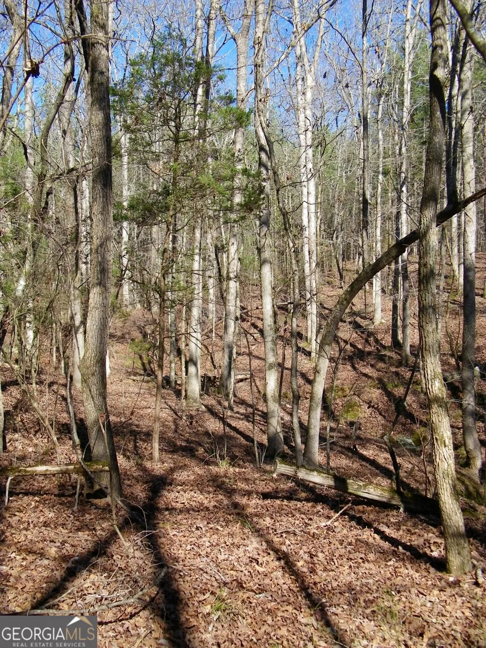 LOT 17 Blackberry Bend Elberton, GA 30635