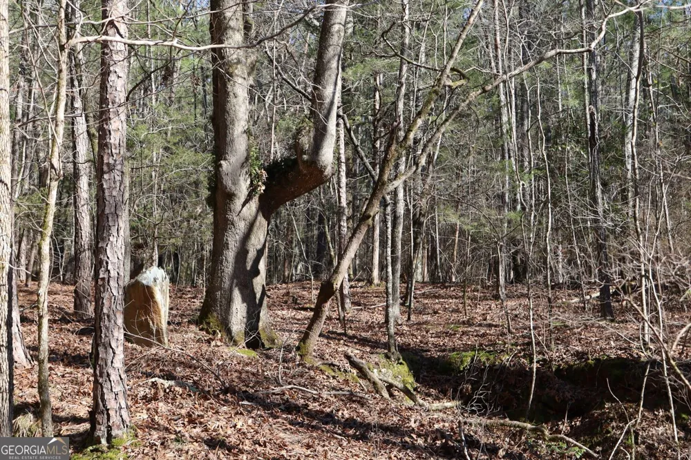 LOT 17 Blackberry Bend Elberton, GA 30635
