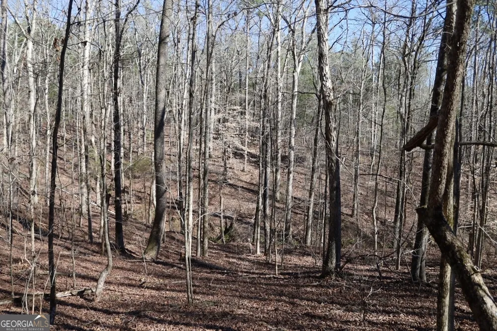 LOT 17 Blackberry Bend Elberton, GA 30635