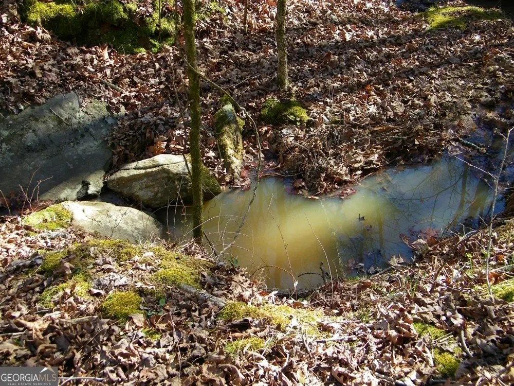 LOT 17 Blackberry Bend Elberton, GA 30635