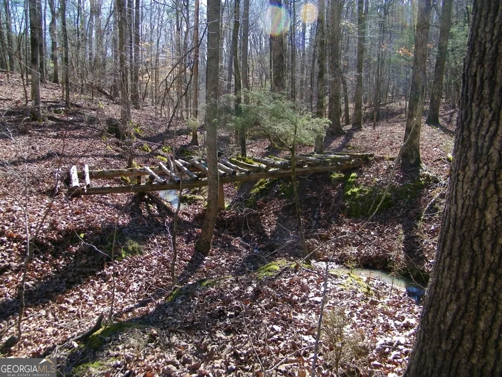 LOT 17 Blackberry Bend Elberton, GA 30635