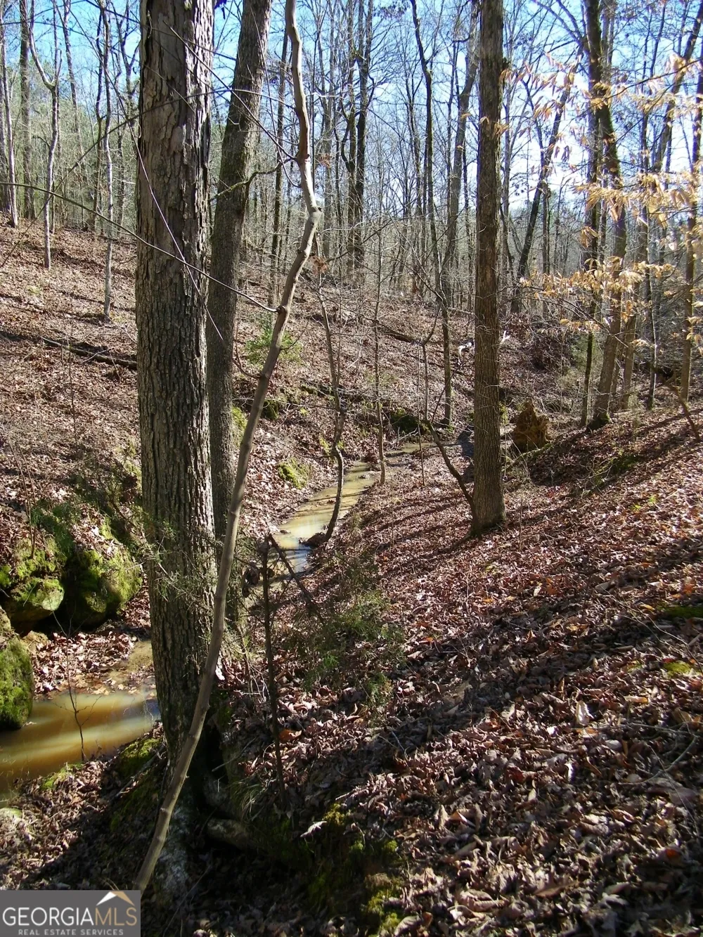 LOT 17 Blackberry Bend Elberton, GA 30635