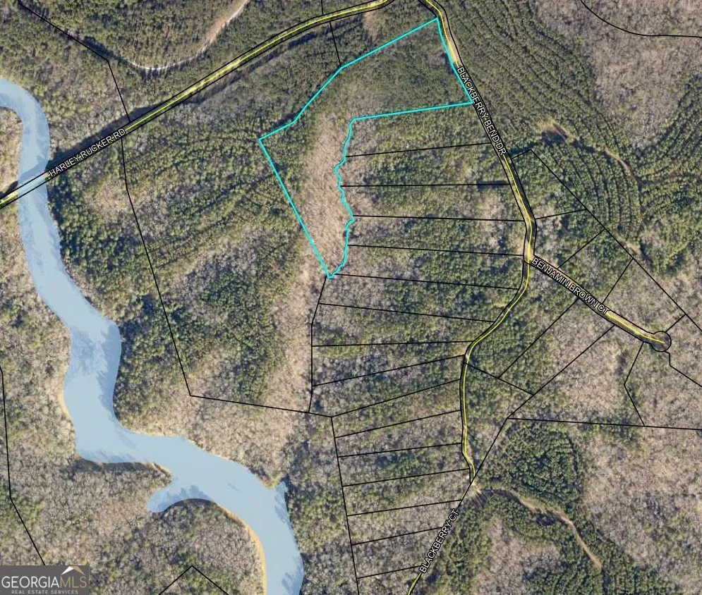 LOT 17 Blackberry Bend Elberton, GA 30635