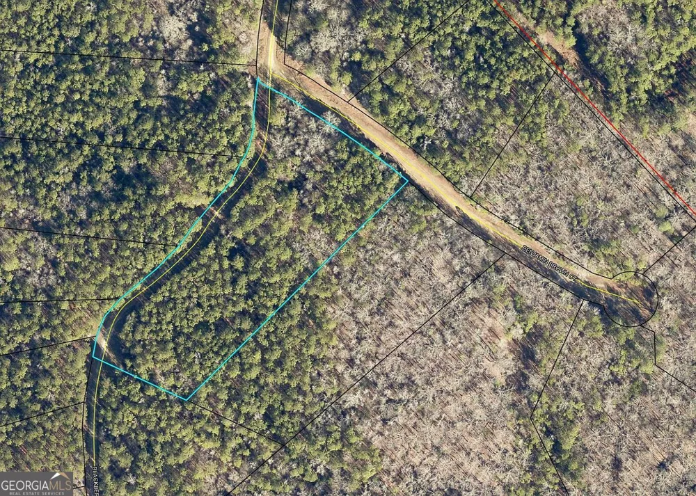 LOT 29 Benjamin Brown CT Elberton, GA 30635