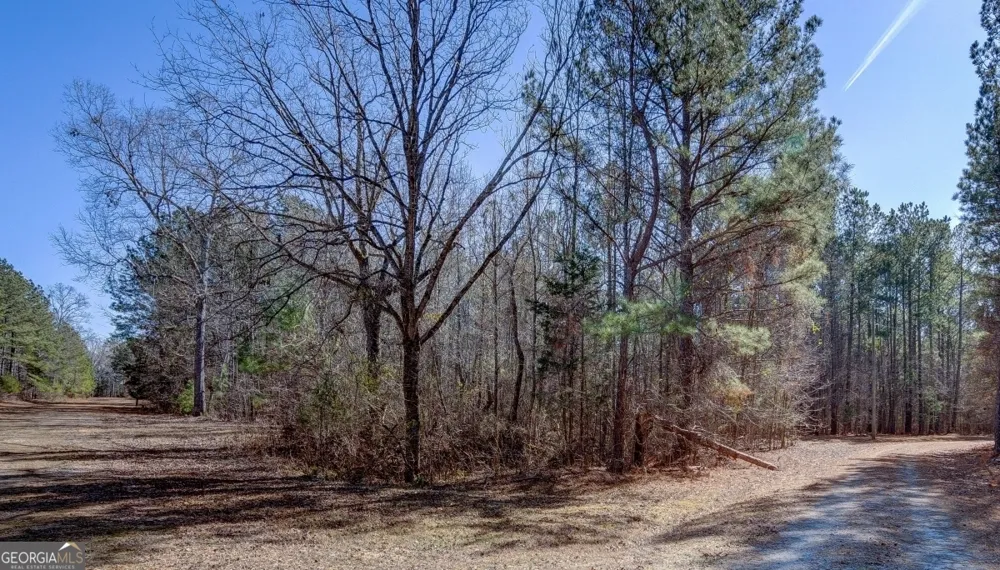 LOT 29 Benjamin Brown CT Elberton, GA 30635
