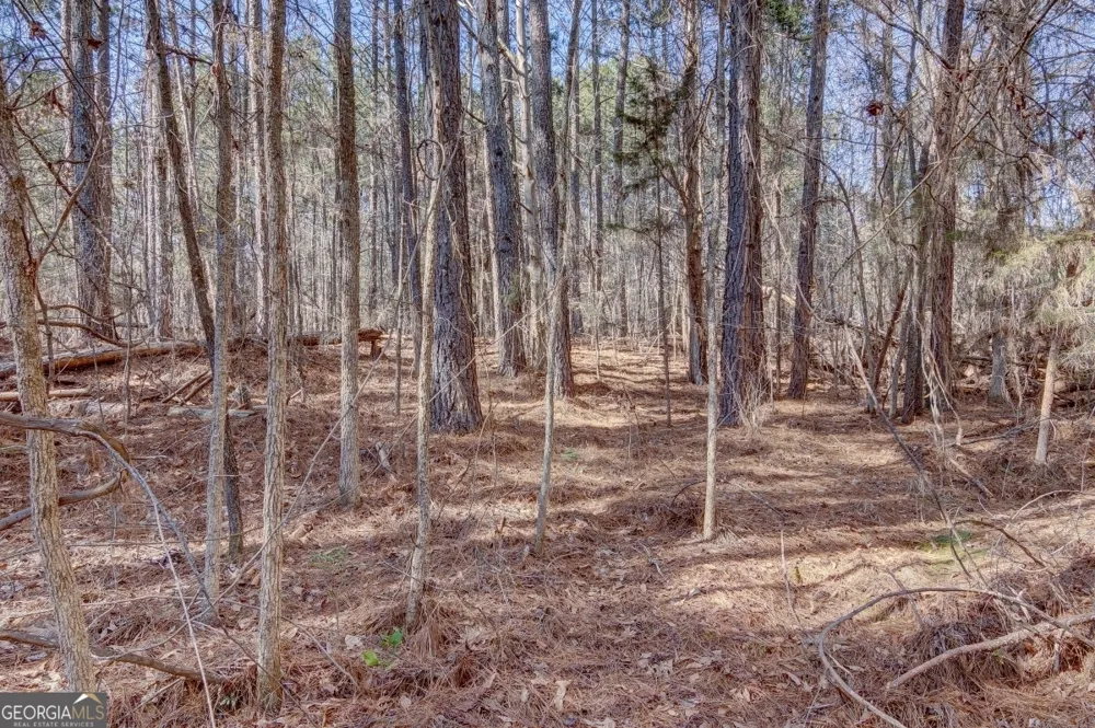 LOT 29 Benjamin Brown CT Elberton, GA 30635