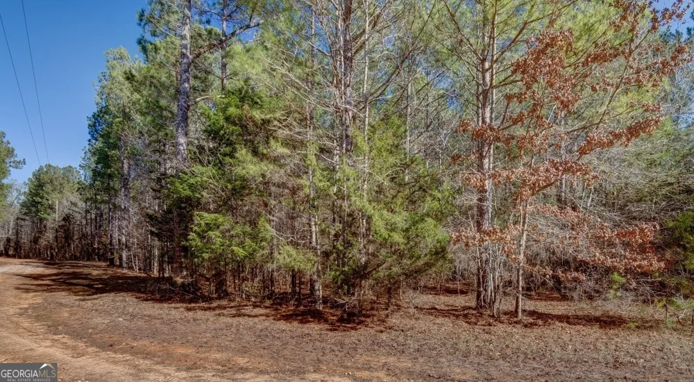 LOT 29 Benjamin Brown CT Elberton, GA 30635