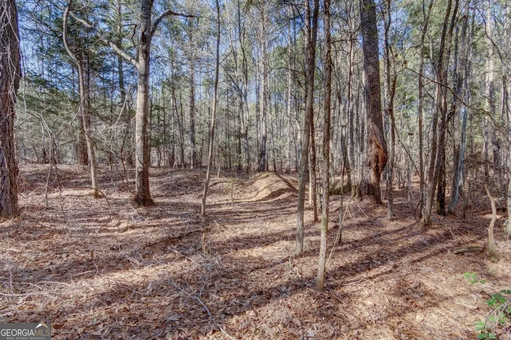LOT 29 Benjamin Brown CT Elberton, GA 30635