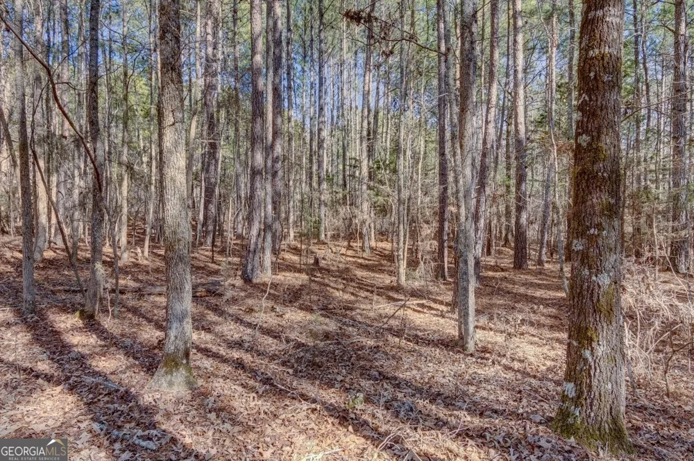 LOT 29 Benjamin Brown CT Elberton, GA 30635