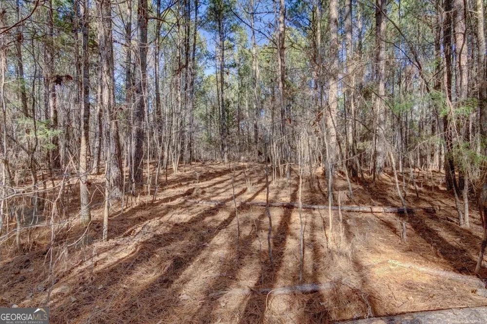 LOT 29 Benjamin Brown CT Elberton, GA 30635