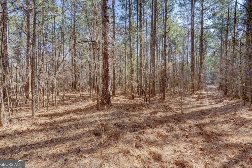 LOT 29 Benjamin Brown CT Elberton, GA 30635