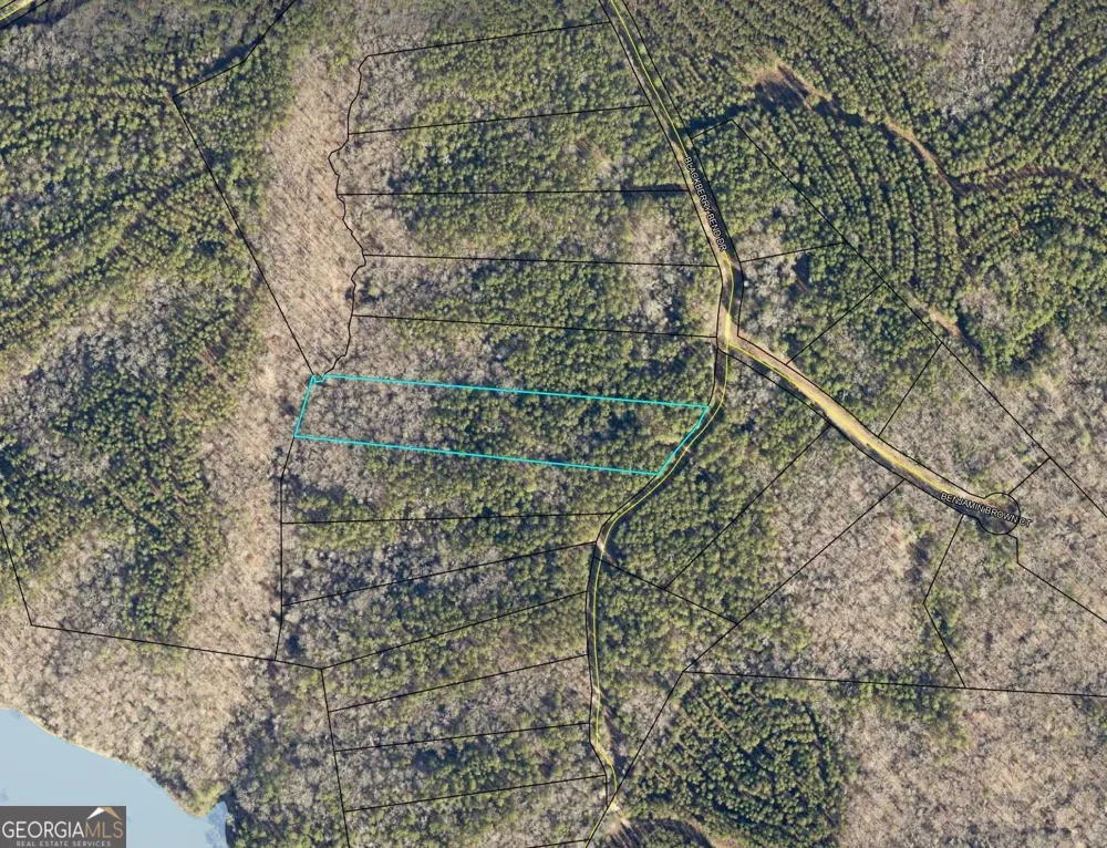 LOT 11 Blackberry Bend Elberton, GA 30635