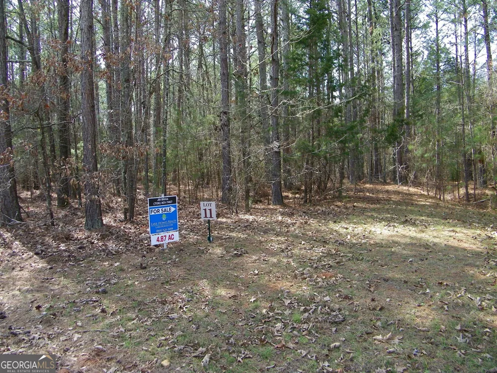 LOT 11 Blackberry Bend Elberton, GA 30635