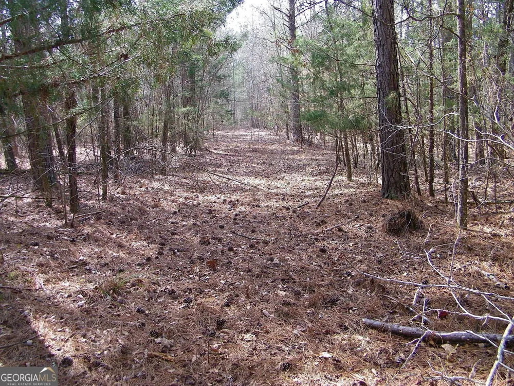 LOT 11 Blackberry Bend Elberton, GA 30635