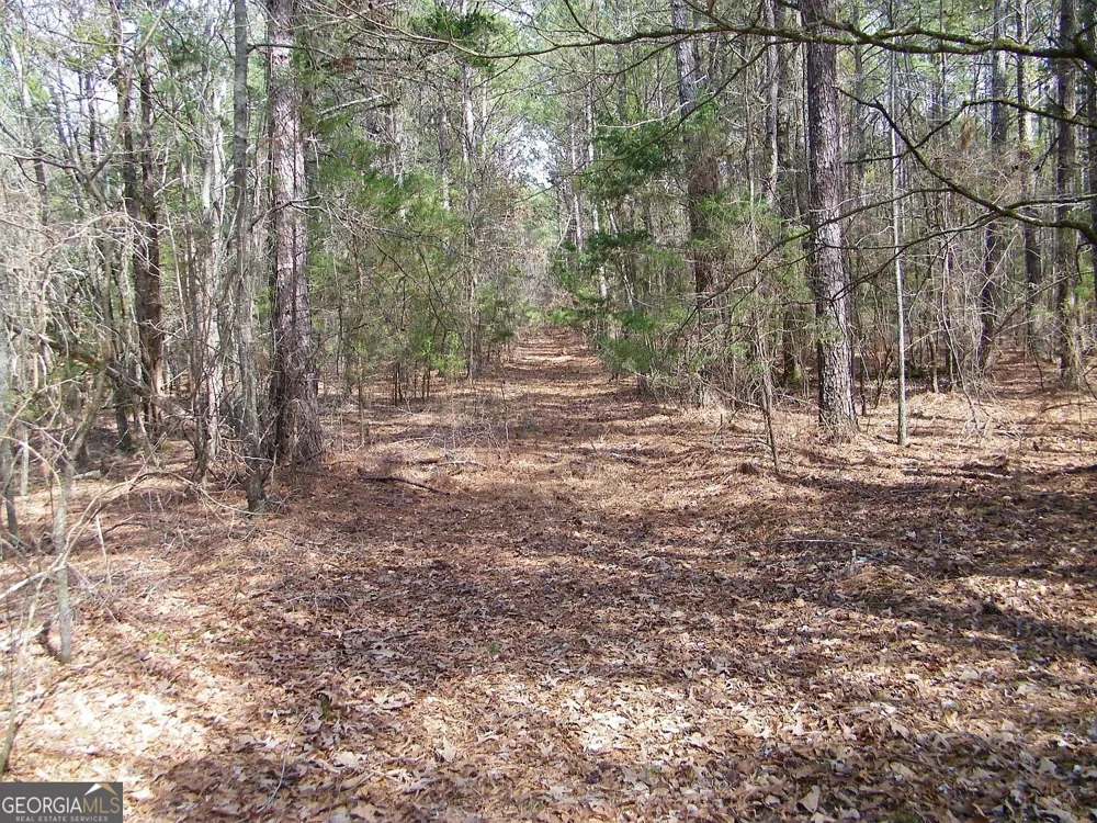LOT 11 Blackberry Bend Elberton, GA 30635
