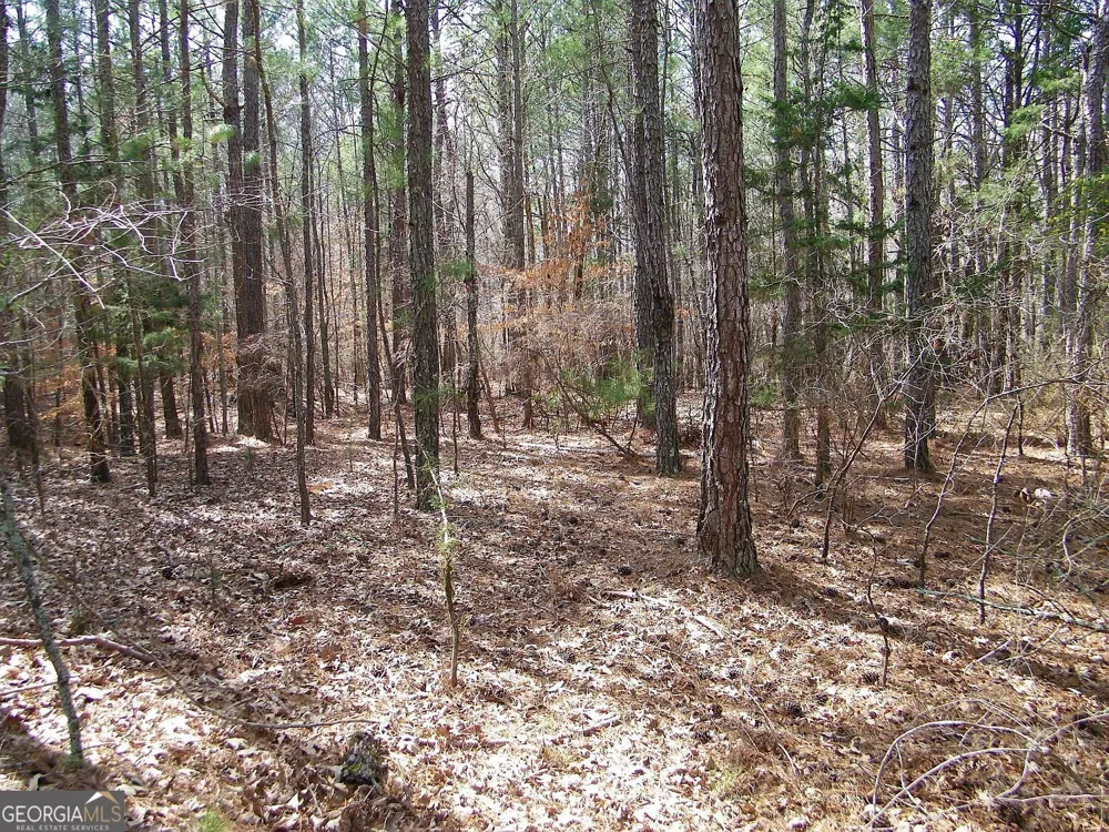 LOT 11 Blackberry Bend Elberton, GA 30635