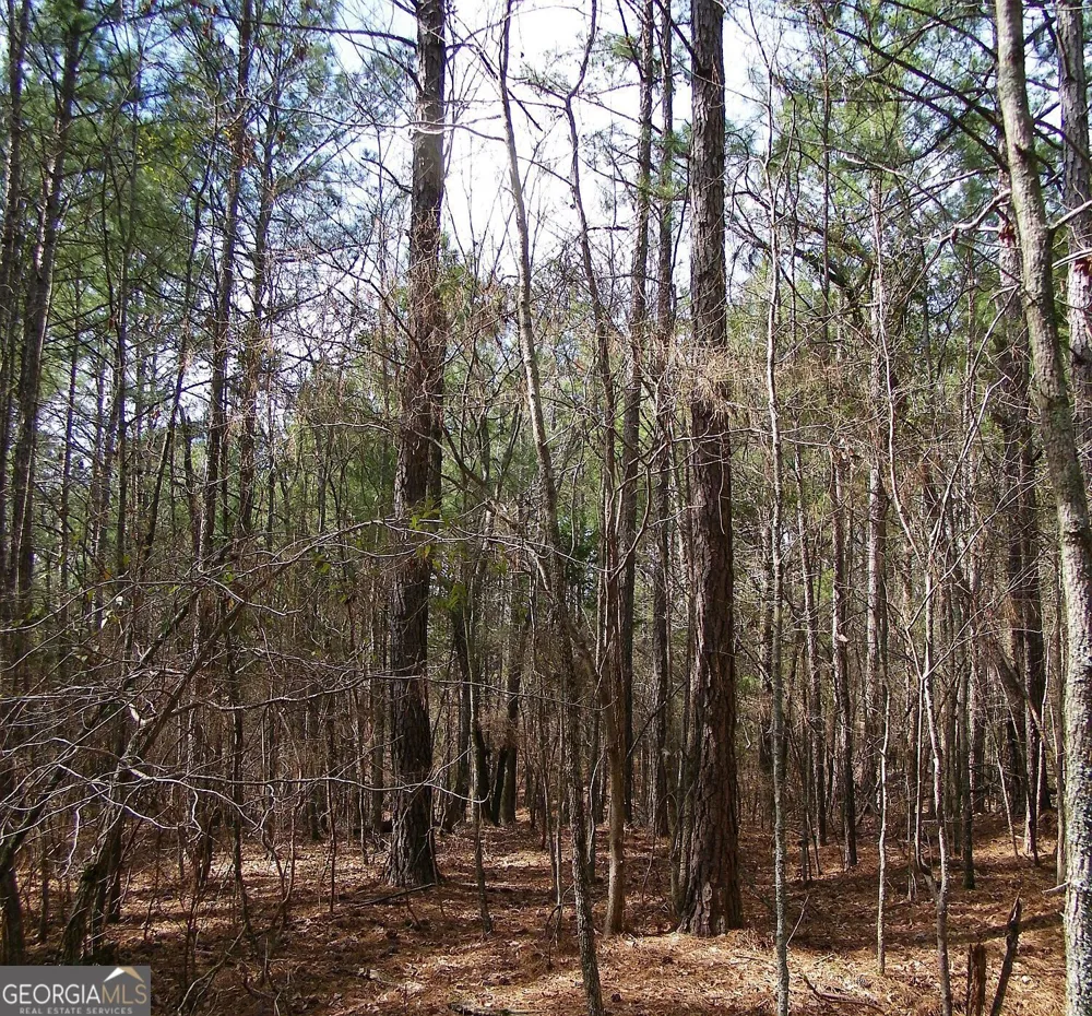 LOT 11 Blackberry Bend Elberton, GA 30635