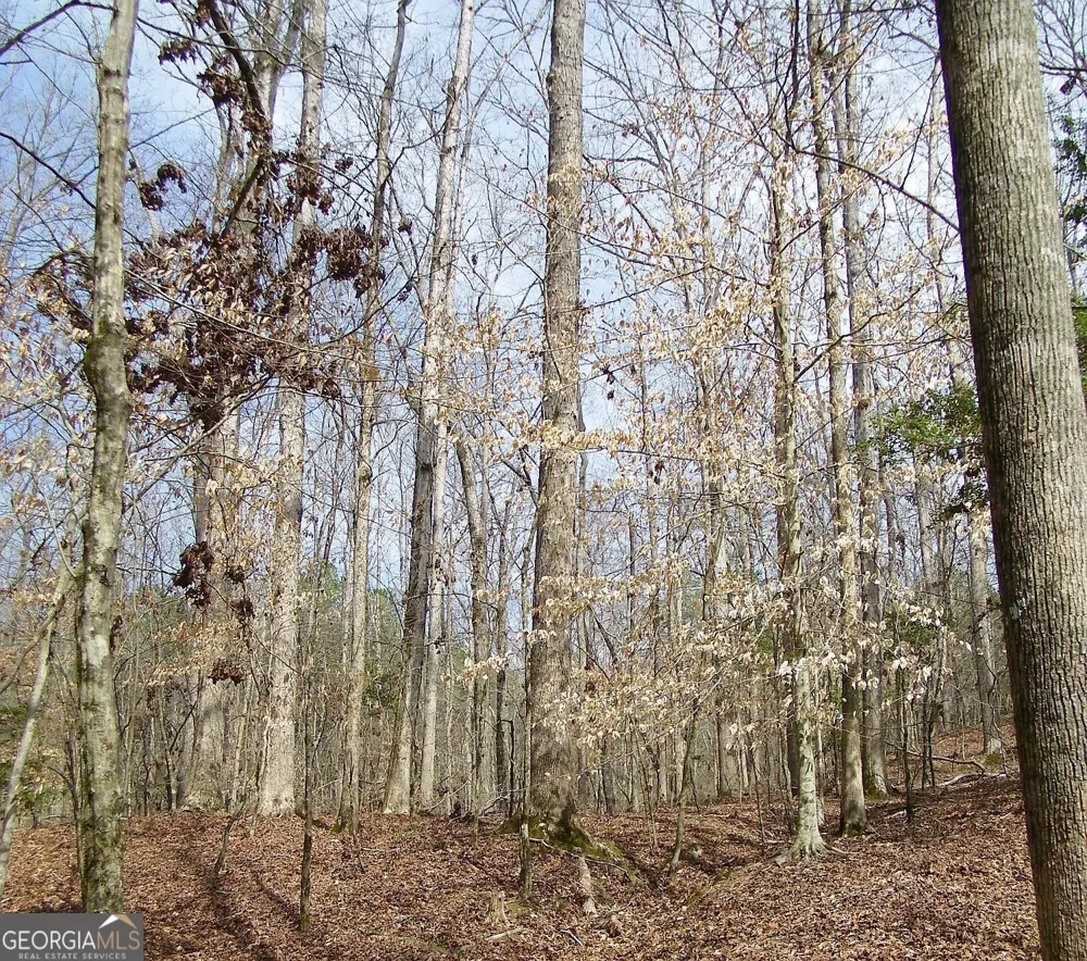LOT 11 Blackberry Bend Elberton, GA 30635