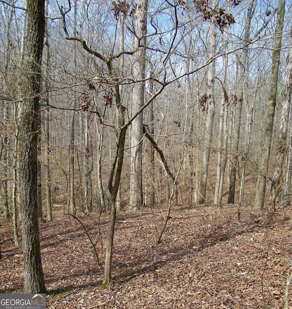 LOT 11 Blackberry Bend Elberton, GA 30635