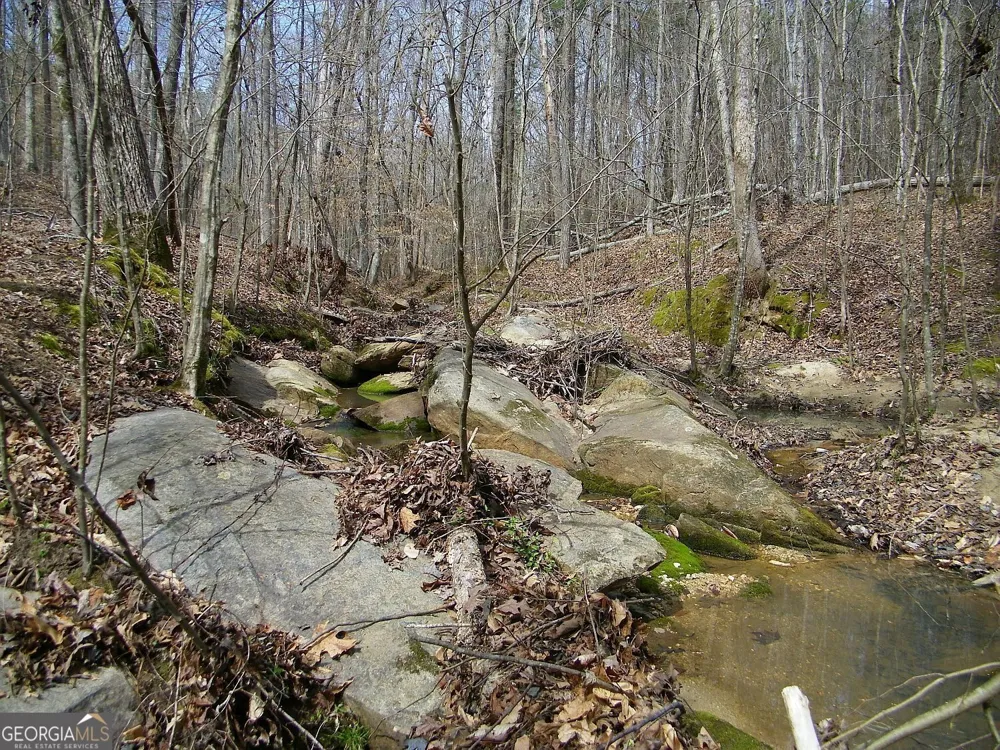 LOT 11 Blackberry Bend Elberton, GA 30635
