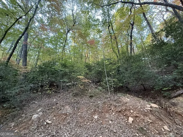 0 Wood Sorrel LN Clayton, GA 30525