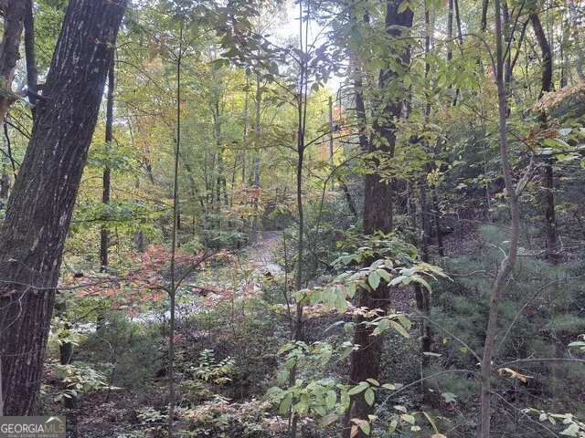 0 Wood Sorrel LN Clayton, GA 30525